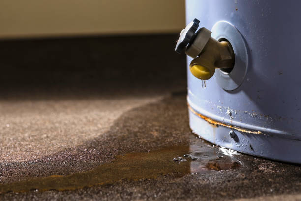 Best Professional water damage repair  in Sunman, IN