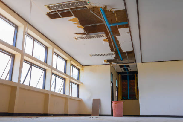  Sunman, IN Water damage restoration Pros