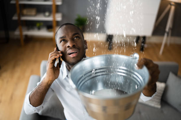 Best Carpet water damage restoration  in Sunman, IN