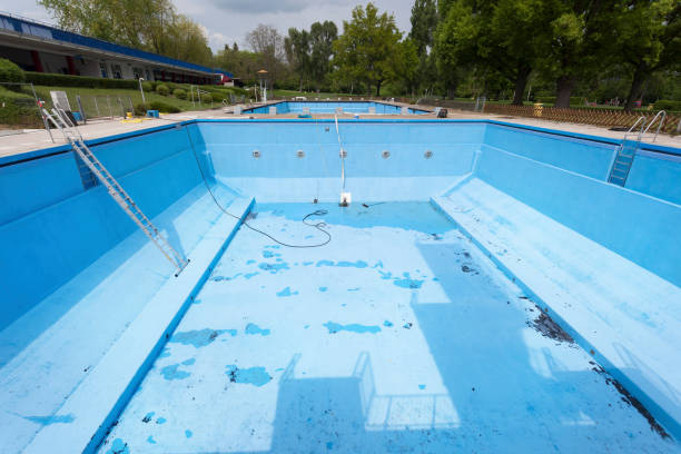 Best Water damage contractors near me  in Sunman, IN