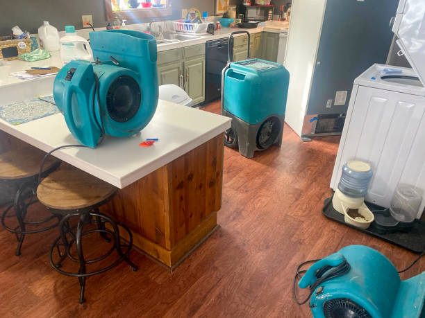 Best Commercial water damage restoration  in Sunman, IN