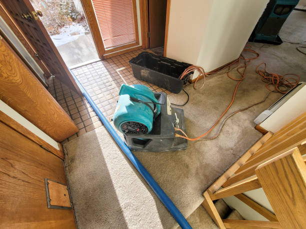 Best Water damage restoration near me  in Sunman, IN