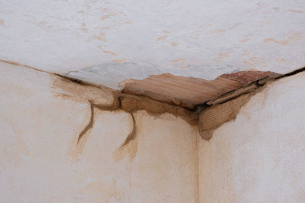 Best Local water damage restoration  in Sunman, IN