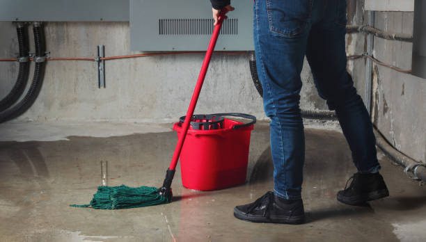 Best Water damage cleanup near me  in Sunman, IN