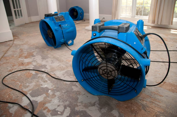 Best Flood damage cleanup  in Sunman, IN