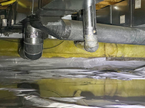 Best Water damage contractors near me  in Sunman, IN